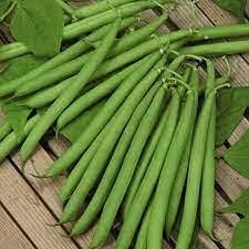 Tender Beans Heirloom Non Gmo Image