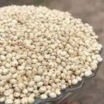 White Proso Millet Seeds for Planting - NON GMO Seeds Dhara Seeds