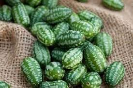 Mini melon fruit seeds
