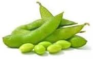 Soybean Seeds for Planting