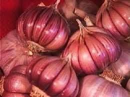 Dark Pink Garlic Seeds for Planting