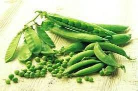 Pea Vegetable Seeds for Planting