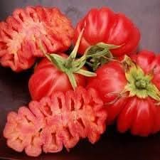 Zapotec Tomato Seeds for Planting
