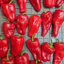 Leutschauer Pepper Seeds for Vegetable Planting