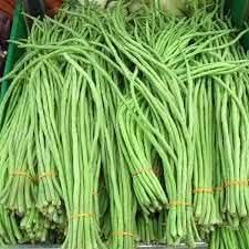 Cow Pea Vegetable Seeds for Planting