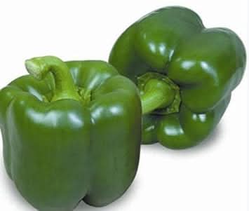 Dark Green Pepper Seeds for Planting - Spicy Variety