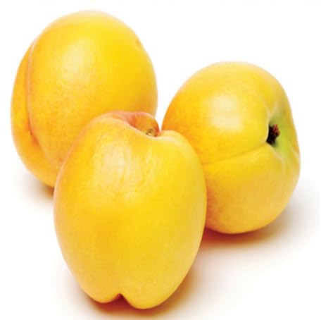 Yellow Nectarine Fruit - Heirloom, Non - Gmo Seeds