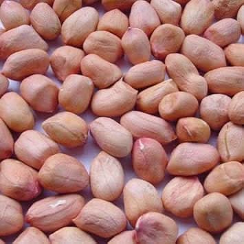 Peanut Seeds for Home Garden