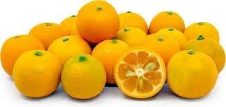 Calamondin Vegetable Seeds for Planting