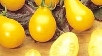 Pear Tomato Seeds for Planting