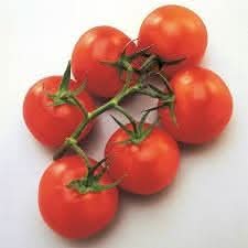 Mountain Tomato Solanum lycopersicum seeds for garden planting