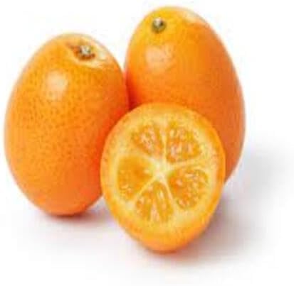 Orange Kumquat Fruit - Heirloom, Non - Gmo Seeds