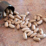 White bean seeds