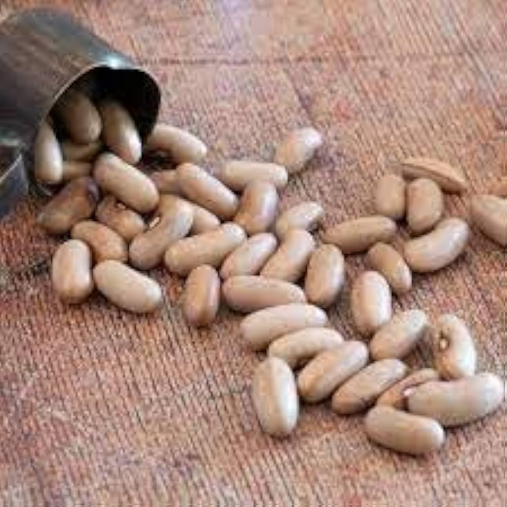 White bean seeds
