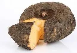 Elephant Foot Yam Plant Seeds for Planting - NON GMO Seeds Dhara Seeds