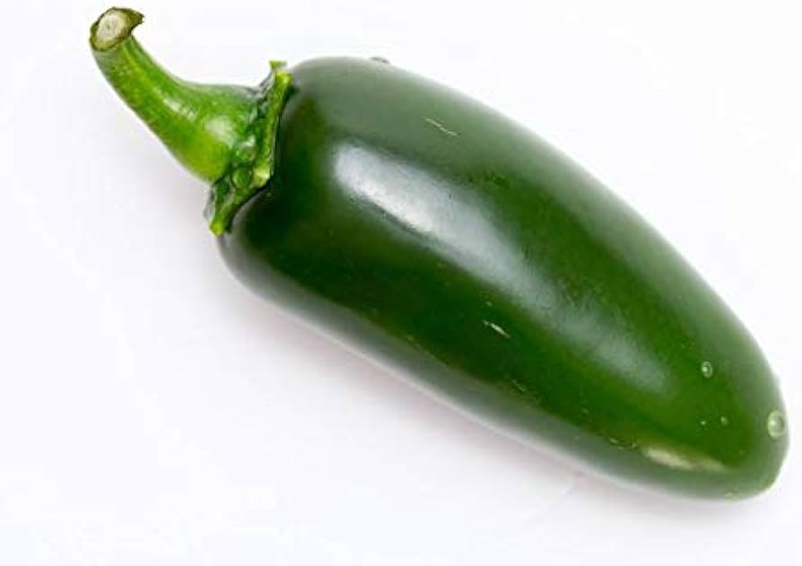 Senorita F Hot Pepper Capsicum annuum Seeds for Planting home garden vegetable patch