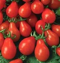 Tomato Seeds for Planting, Red