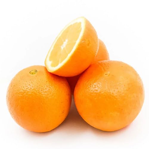 Orange Fruit
