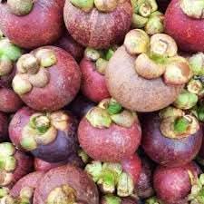 Mangosteen Fruit Seeds for Growing Sweet and Exquisite Mangosteens