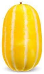 Musk Melon Seeds for Planting