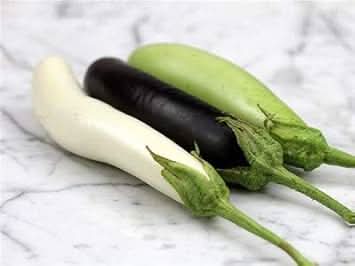 Eggplant vegetable Seeds for Planting Mixed seeds