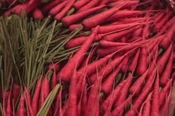 Carrot Vegetable Seeds for Planting