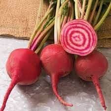Chioggia Beet Beta vulgaris seeds for garden planting