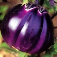 Eggplant Vegetable Seeds for Planting
