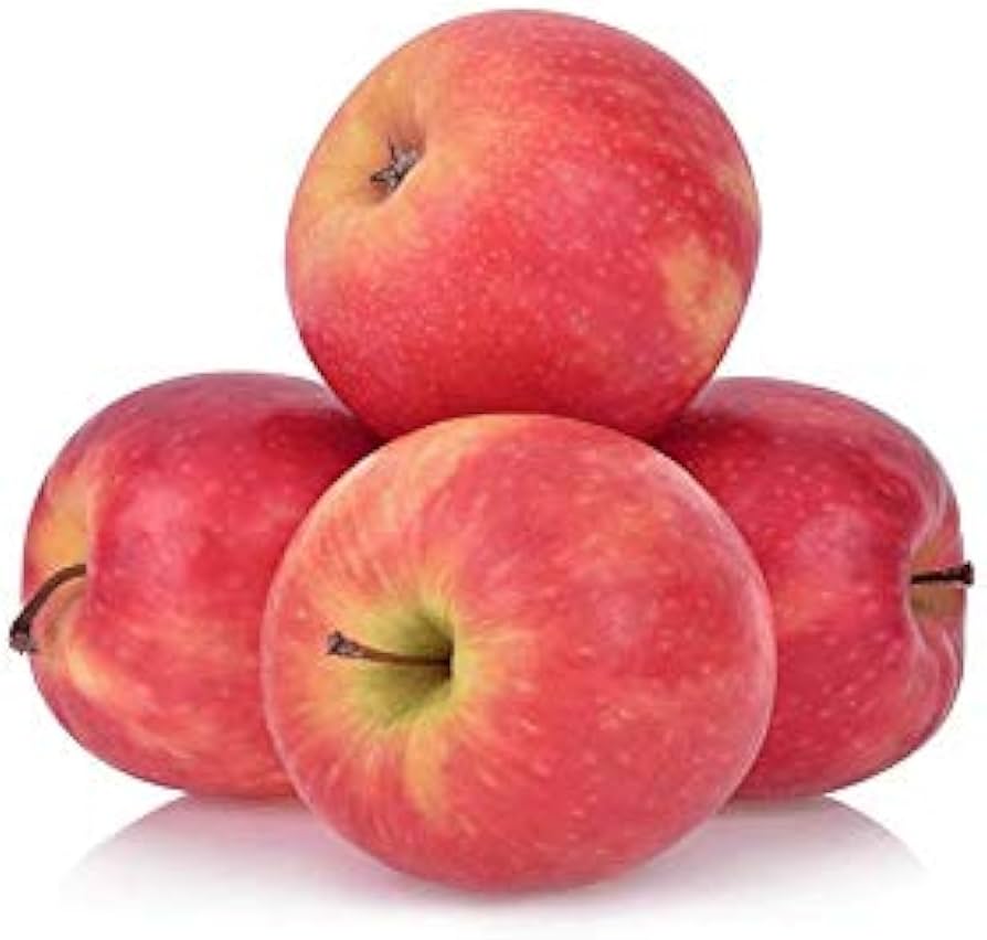 Pink Lady Apple (Malus domestica 'Cripps Pink') – Crisp & Refreshing Sweet-Tart Apples