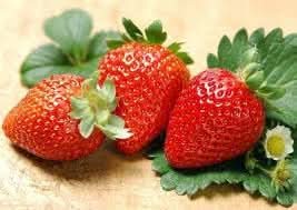 Organic strawberry Fragaria × ananassa seeds for home garden