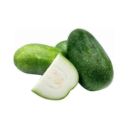 Green Ashgourd