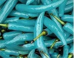 Blue Jolokia Capsicum chinense seeds for garden planting