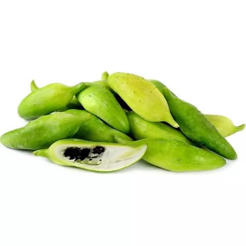 Green Cyclanthera Pedata - Heirloom, Non - Gmo Seeds