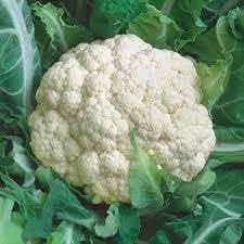 Self Blanching Cauliflower Seeds for Planting heirloom & Non-GMO Seeds