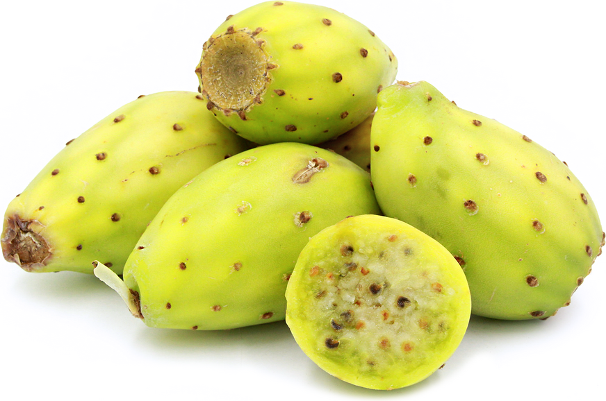 Cactus Pear Seeds (Opuntia ficus-indica)