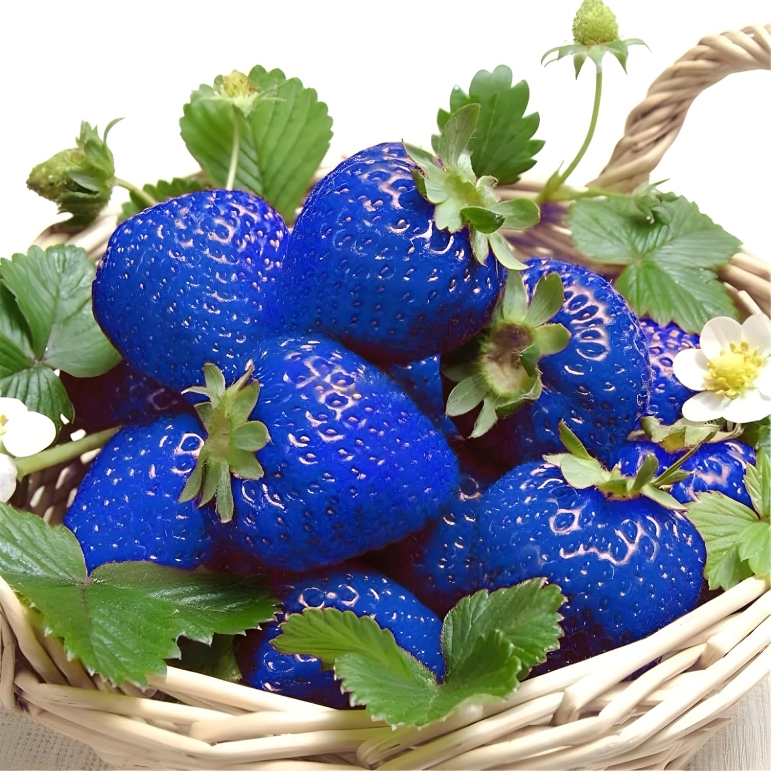 Blue Strawberry Fruit Seeds for Planting - A Sweet and Versatile Fruit for Your Garden