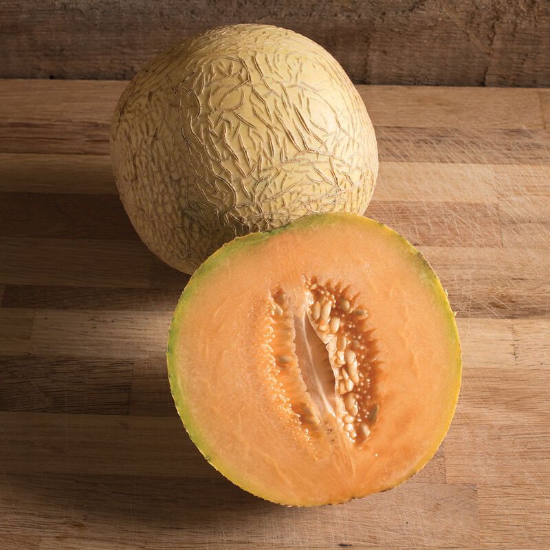 Divergent Organic Melon Seed