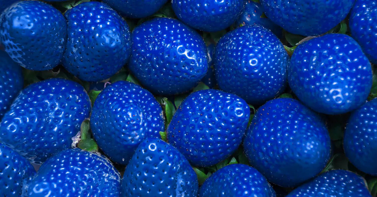 Blue Strawberry Fruit Seeds for Planting - A Sweet and Versatile Fruit for Your Garden