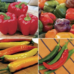 Pepper Seed Collection Mixed Sweet and Hot Pepper Varieties High Germination Garden Seeds heirloom non-gmo seeds