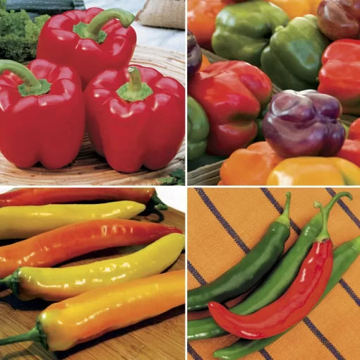 Pepper Seed Collection Mixed Sweet and Hot Pepper Varieties High Germination Garden Seeds heirloom non-gmo seeds