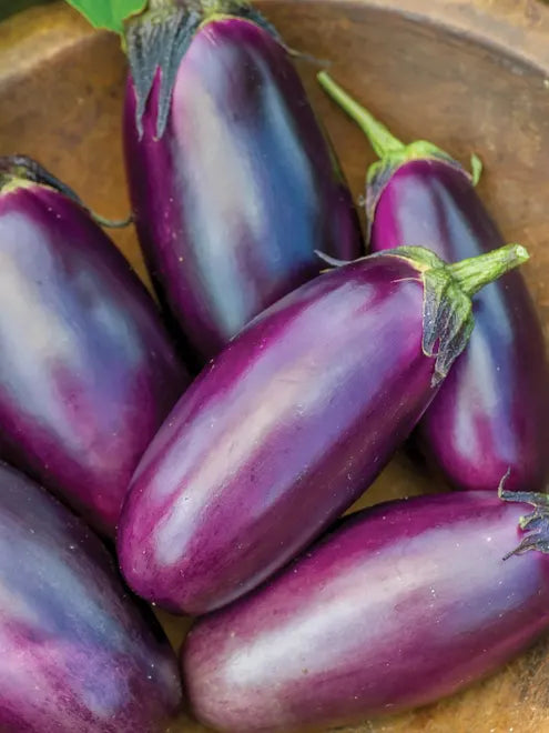 Eggplant Seeds - Patio Baby