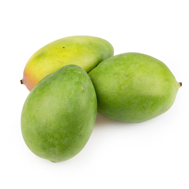 Xoài (Mangifera indica / Common Name: Mango)