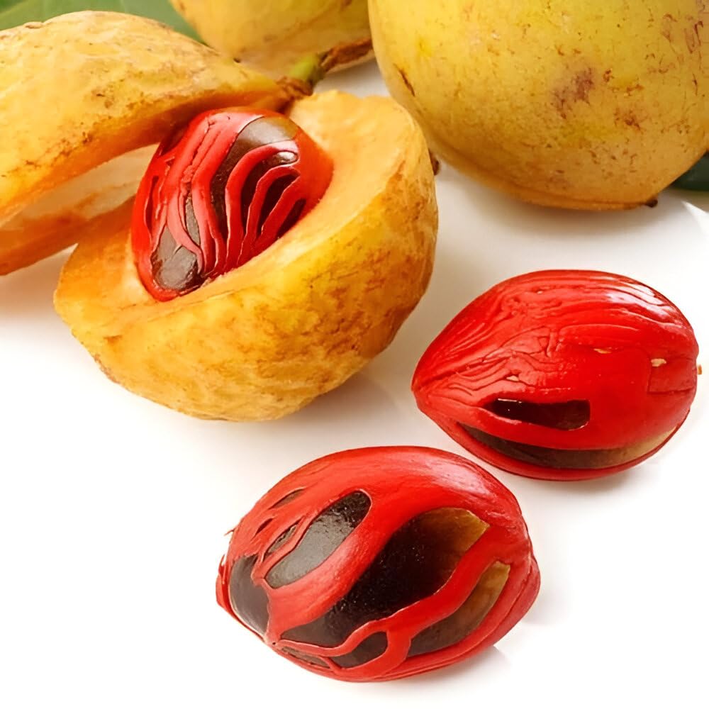 Nutmeg Myristica Seeds for Aromatic and Spicy Harvests