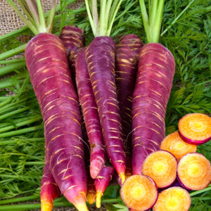 cooked or roasted purple carrots served on a plate

