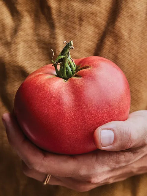 Tomato Seeds - Delicious