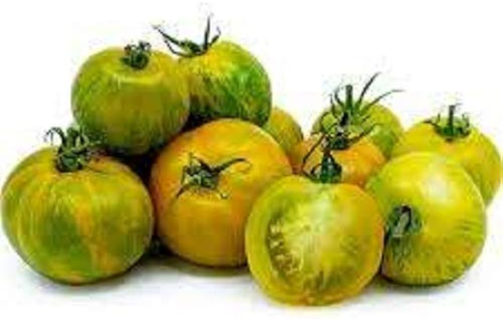 Green zebra cherry tomato seeds for home bonsai or garden