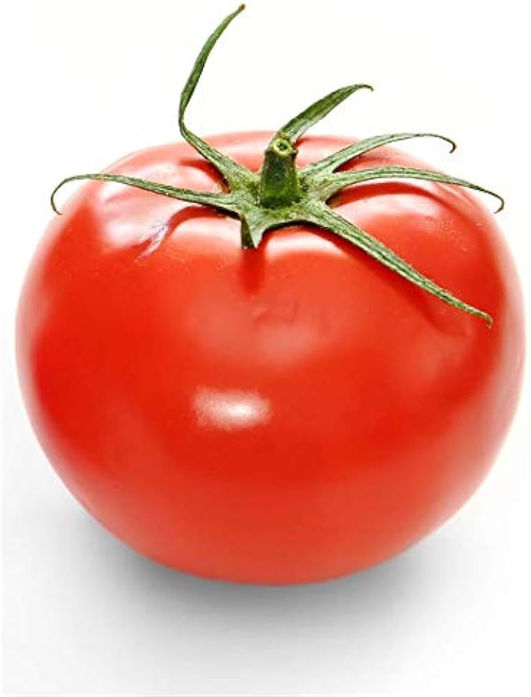 Large Tomato Vegetable Seeds – Seeds for Growing Red Tomatoes in Your Garden