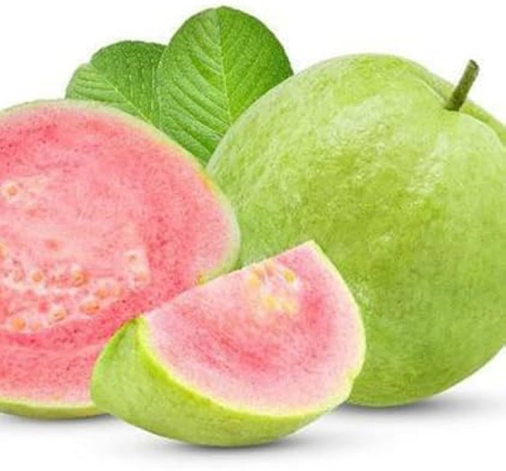 Guava Seeds for Planting Psidium guajava for tropical gardens and home orchards