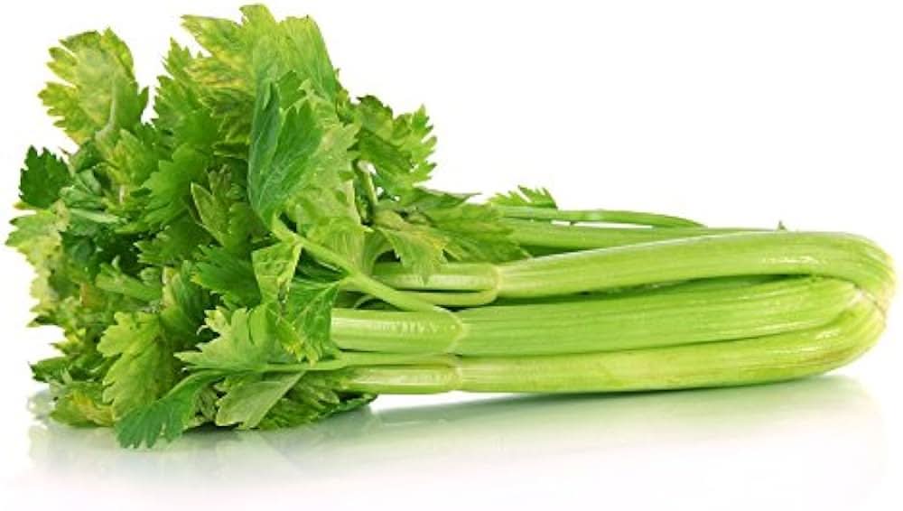 Utah Tall Improved Celery Hearty Vegetable Seeds