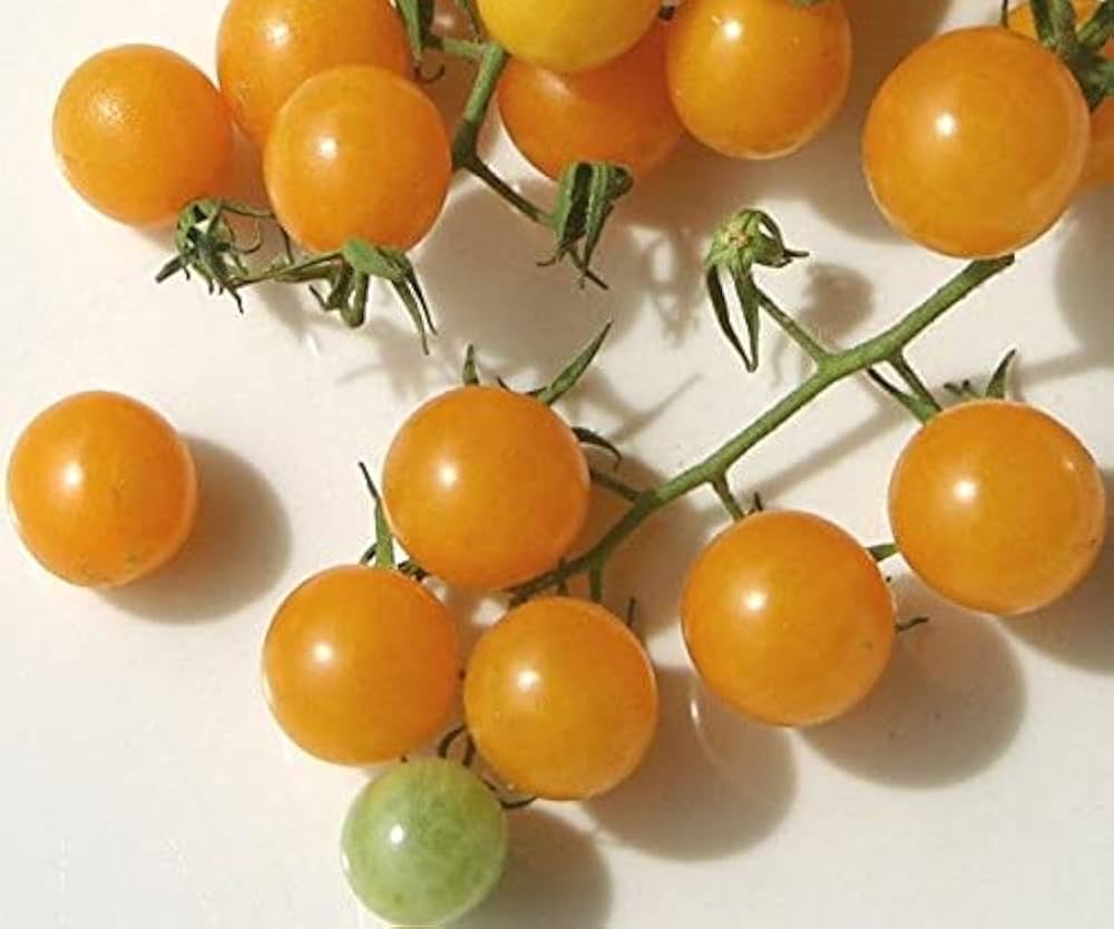 Gold Cherry Tomato Seeds